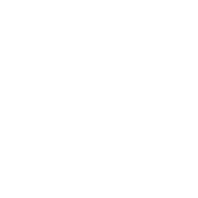 Surprise Arts